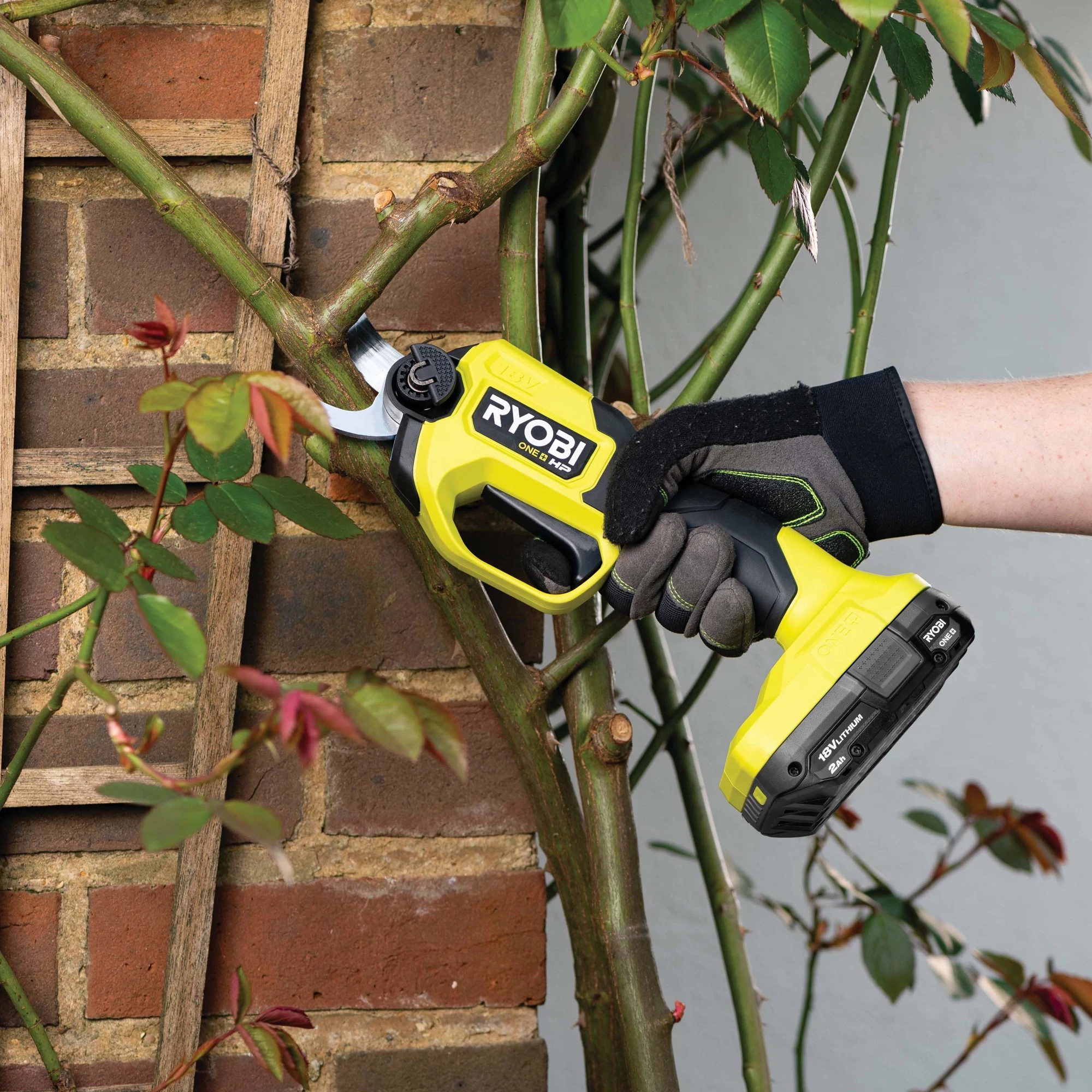 18V ONE+ HP? Brushless 28mm Pruning Secateurs Tool Only 5 18V ONE+ HP? Brushless 28mm Pruning Secateurs Tool Only