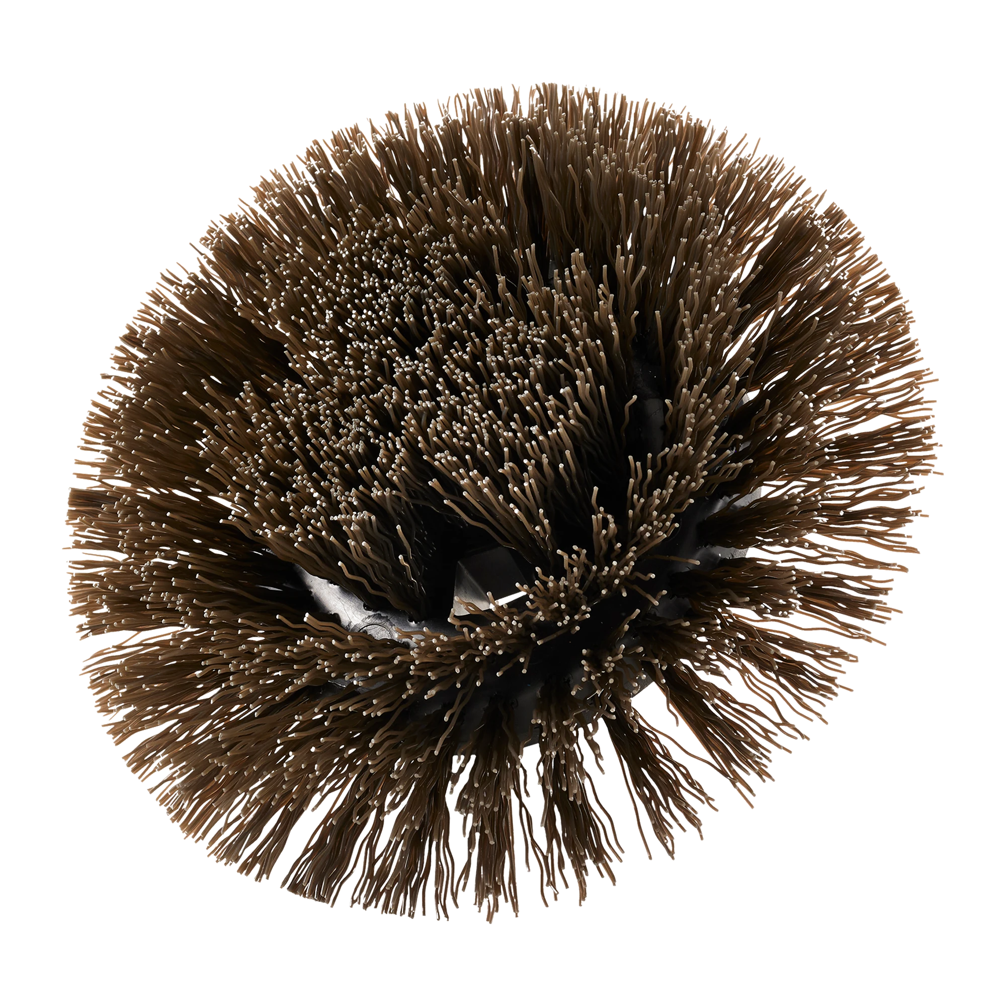 150mm Round Hard Bristle Brush